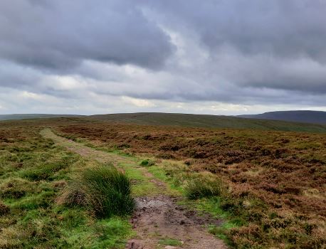 Offa’s Dyke 4